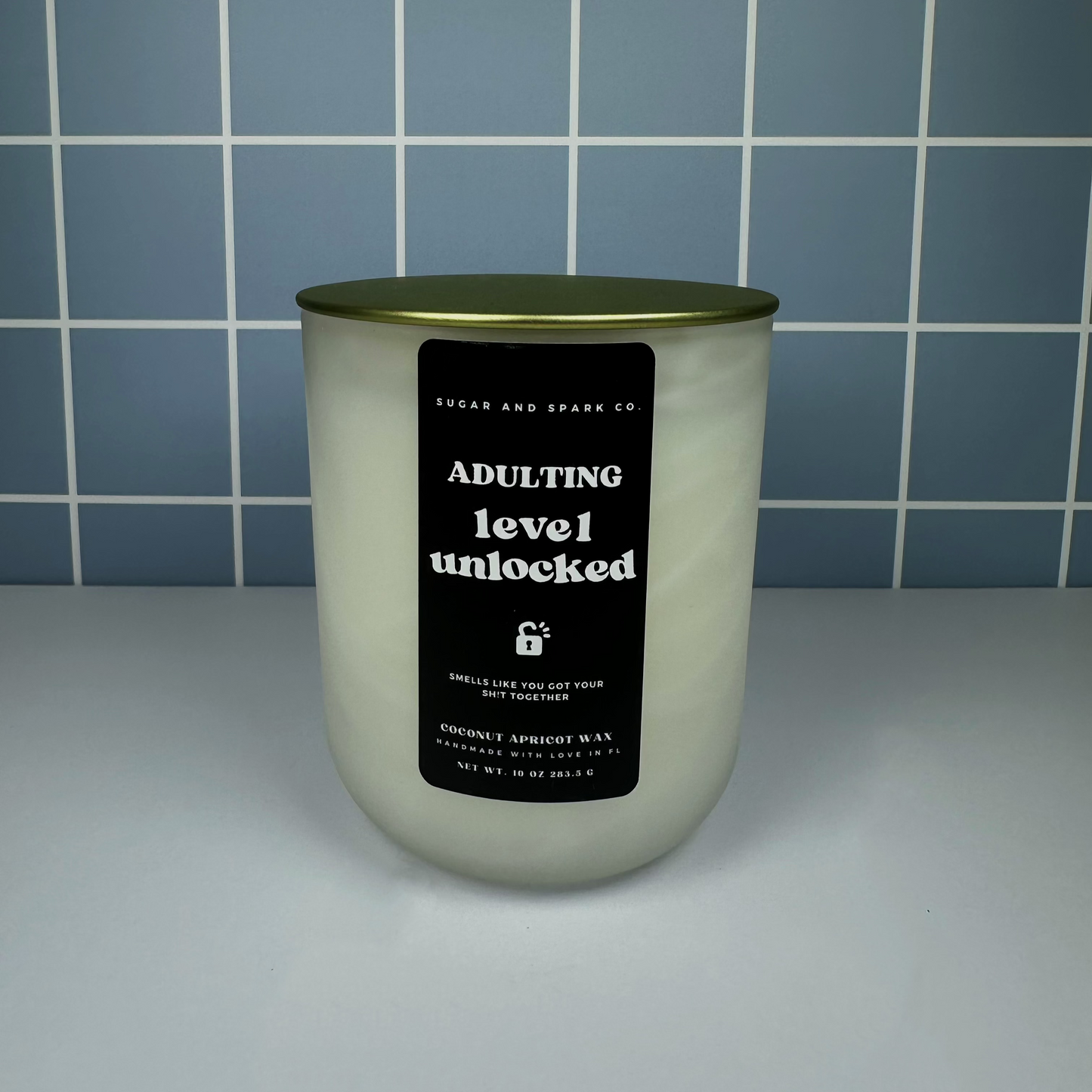 Adulting Level Unlocked